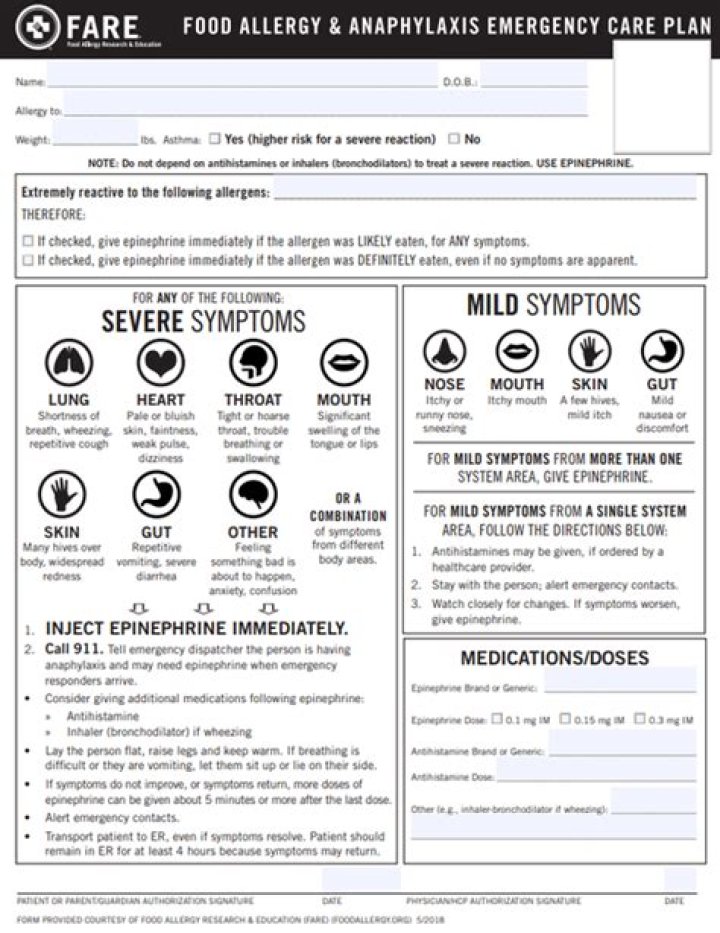 Complete Food Allergy Plan PDF for Safe Eating