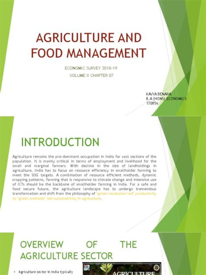 Master Food Management: Essential PDF Guide