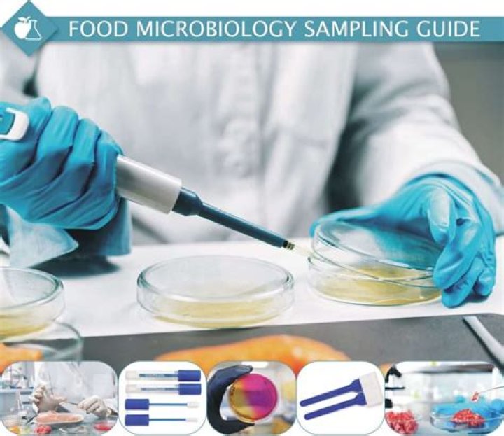Food Microbiology Testing Methods PDF: Essential Lab Protocols