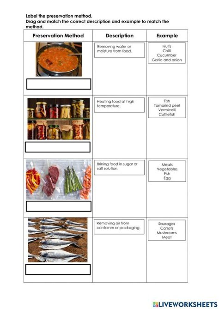 Food Preservation Questions & Answers PDF: Expert Guide