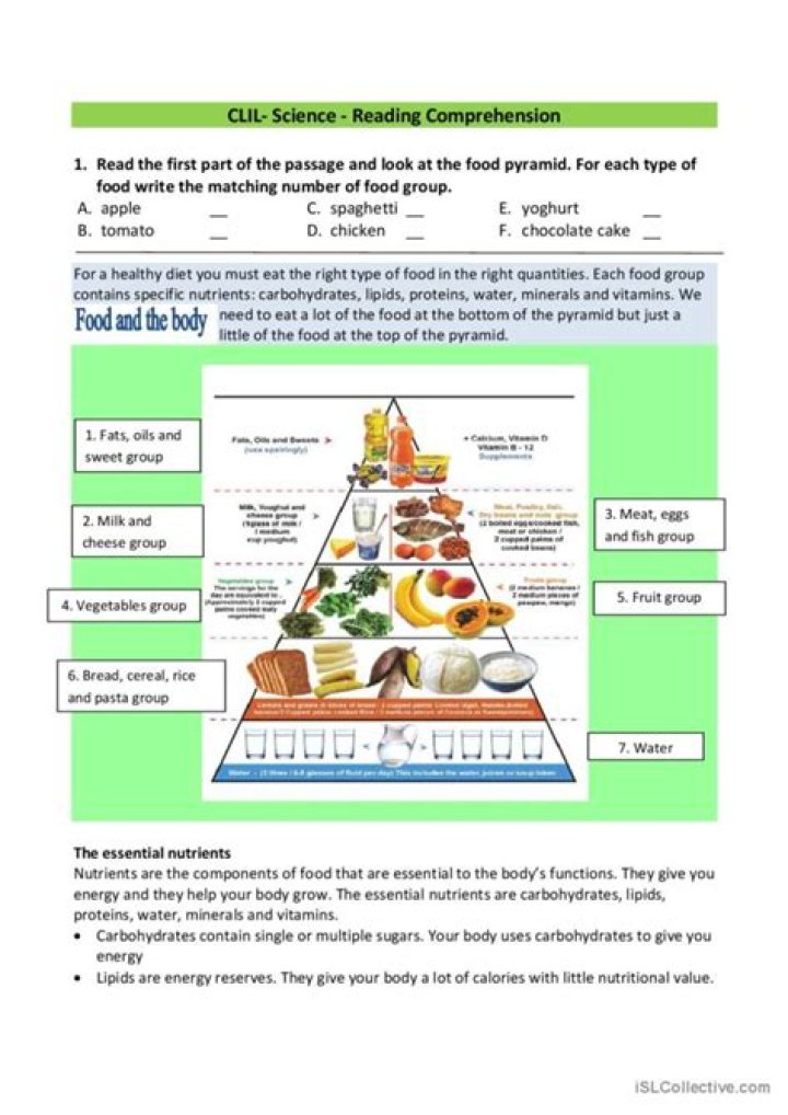 Food Pyramid Reading Comprehension Worksheet PDF | Free Download