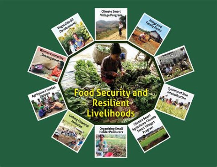 Food Security and Livelihood Interview Questions PDF for Research