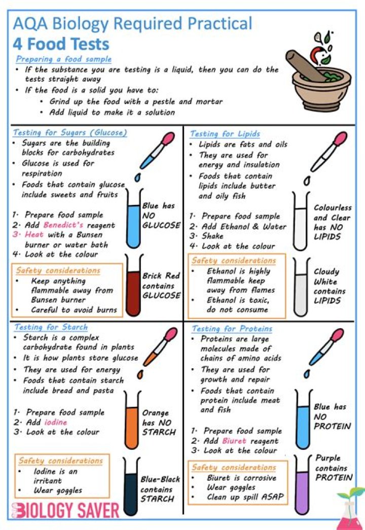 Food Test Biology Practical PDF Guide: Step-by-Step Study & Lab Techniques