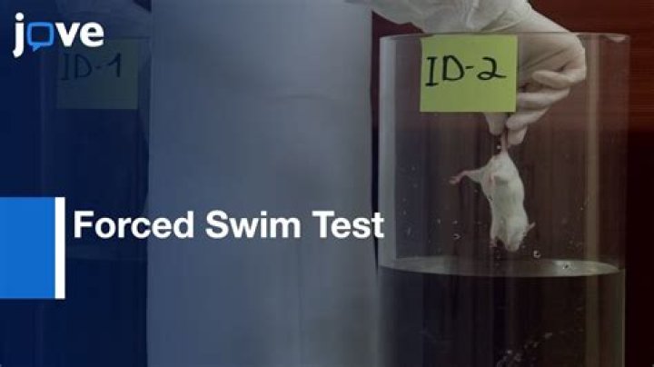 Forced Swim Test PDF: Lab Animal Stress Assessment Report