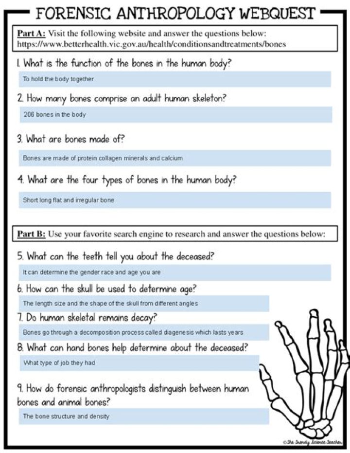 Forensic Anthropology WebQuest Answer Key PDF for Students