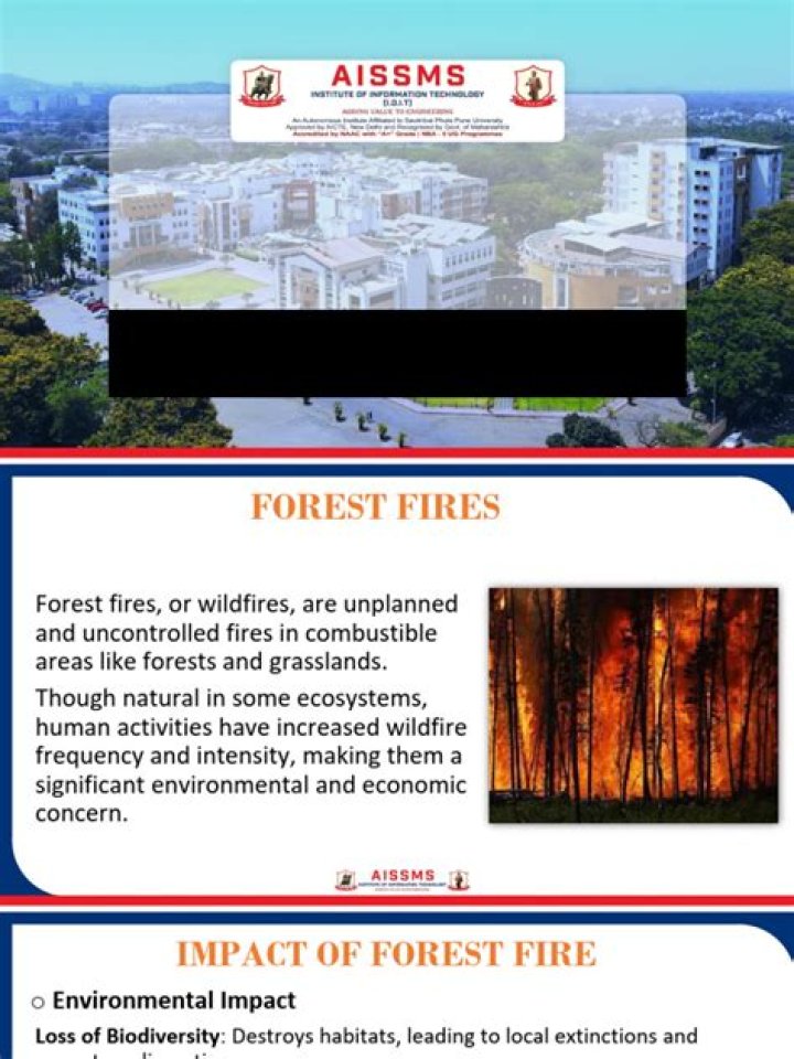 Forest Fire Management PDF: Expert Strategies for Prevention and Response