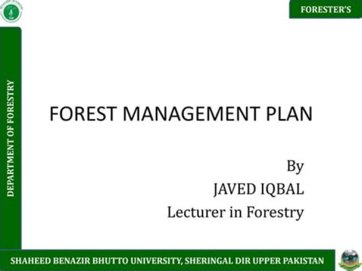 Download the Complete Forest Management Plan PDF