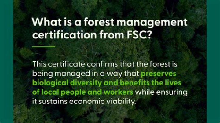 Comprehensive Forest Management Practices PDF for Sustainable Forestry