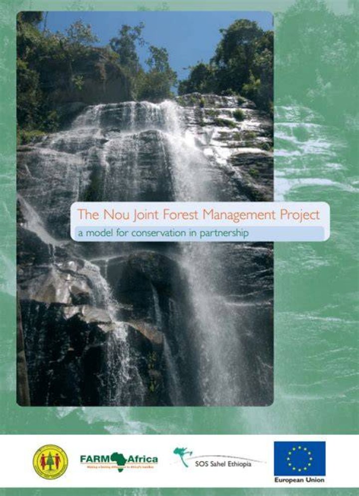 Forest Management Project PDF: Sustainable Planning & Implementation Guide