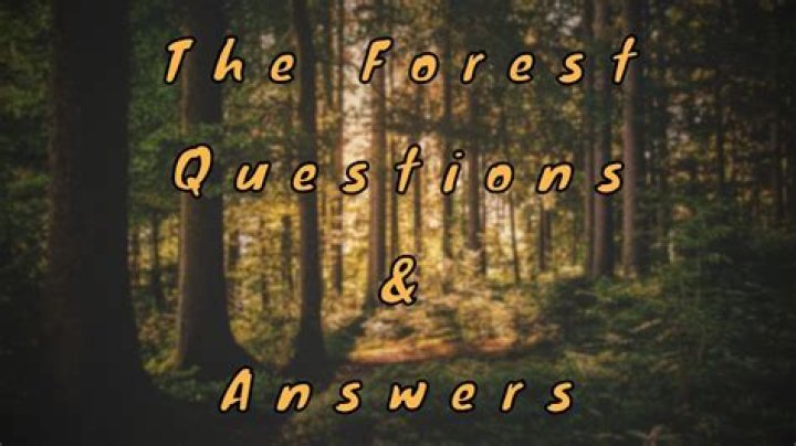 Forest Questions and Answers PDF: Everything You Need to Know