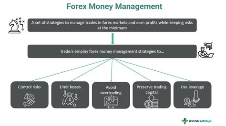 Master Forex Money Management with Our Pro PDF Plan