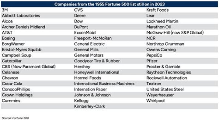 Fortune 1000 2025 List PDF: Top High-Net-Worth Earnings & Wealth Insights