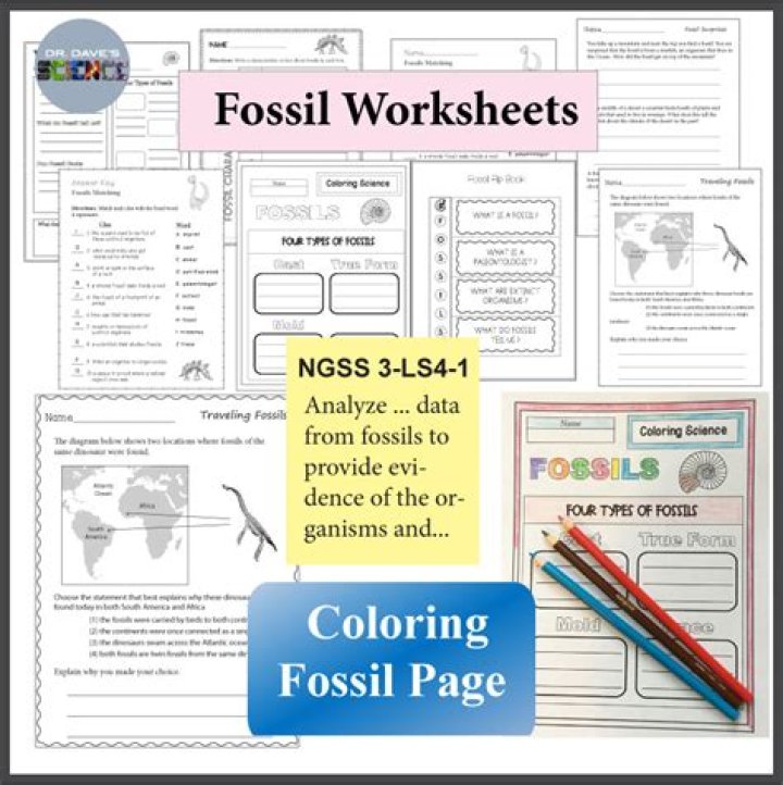 Fossils and Relative Dating Worksheet Answer Key PDF – Perfect for Students