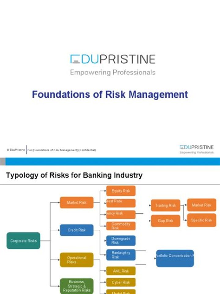 Foundations of Risk Management: Essential Principles from PDF Guide