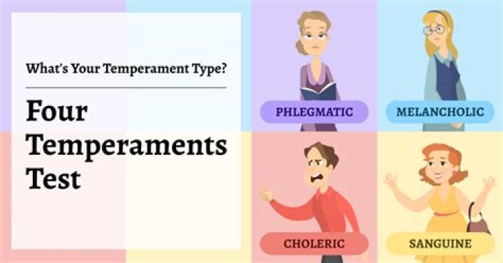 Four Temperaments Personality Test PDF: Discover Your Core Personality Type