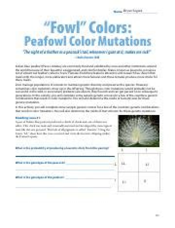 Peafowl Color Mutations & Fowl Colors: Complete Answer Key PDF