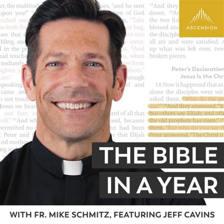 FR Mike Schmitz Bible Year Plan PDF: Read the Bible Daily for a Year