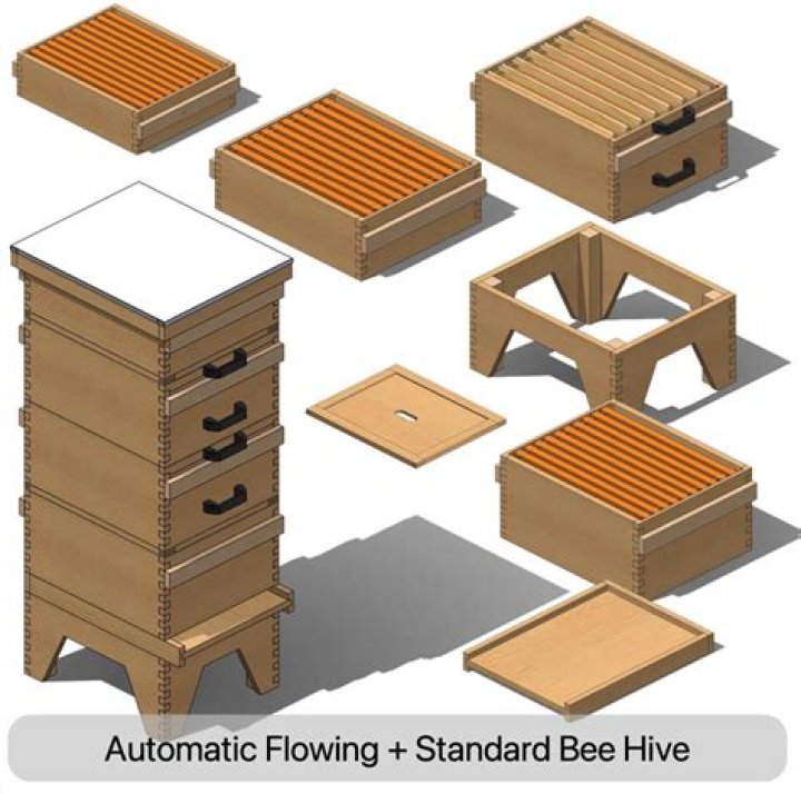 Free Beehive Plans PDF for Beginners