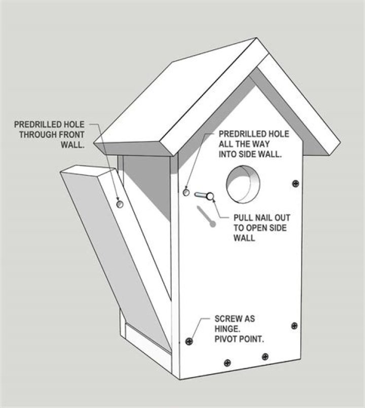 Free Birdhouse Plans PDF – Download Ready-to-Print Designs