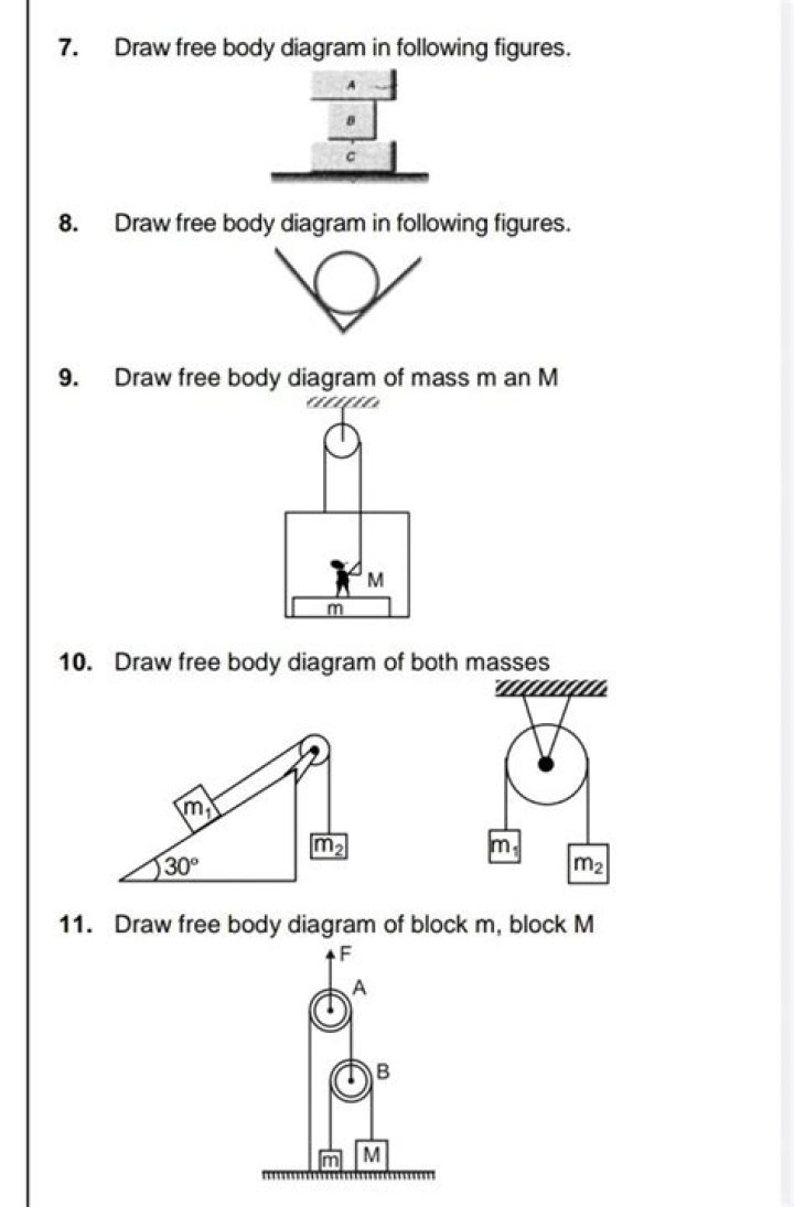 Free Body Diagram Questions & Answers PDF for Class 12 Students