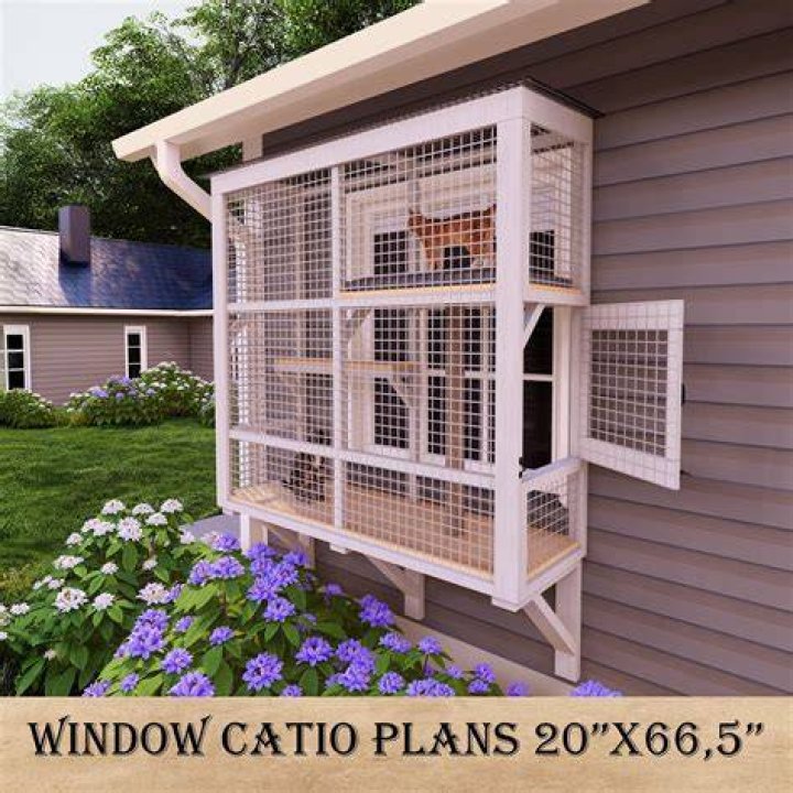 Free Catio Plans PDF Free Download – Instant Download