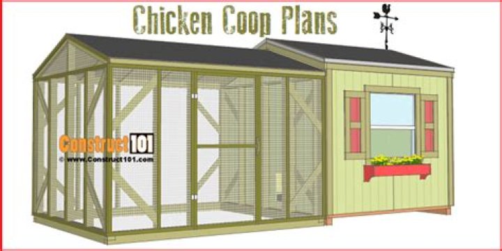 Free Chicken Coop Plans PDF – Build Your Own Affordable Chicken House