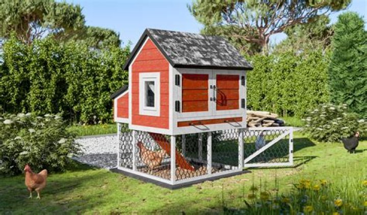 Free Chicken House Plans PDF – Build Your Own Backyard Coop for Free