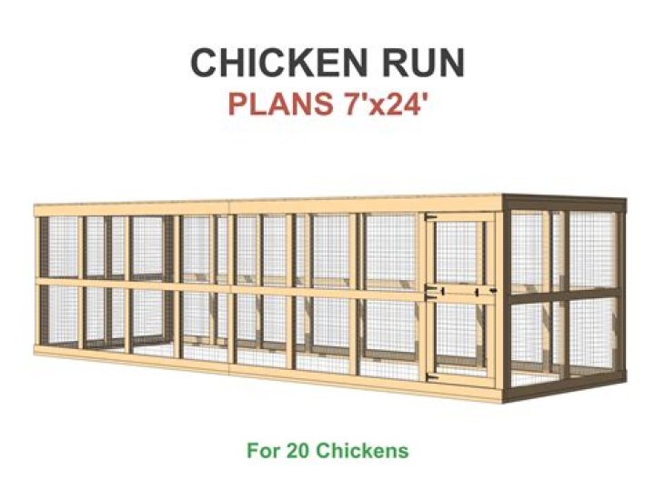 Free Chicken Run Plans PDF for Your Backyard
