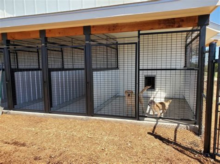 Free Dog Kennel Plans PDF for Every Size & Style