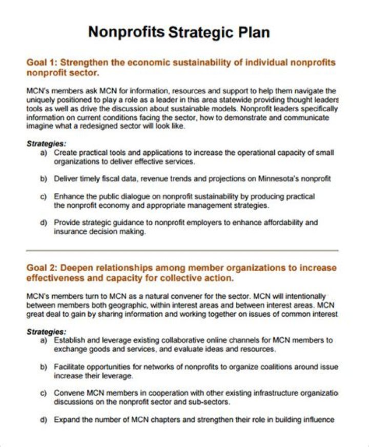 Free Nonprofit Business Plan Sample PDF – Download Now