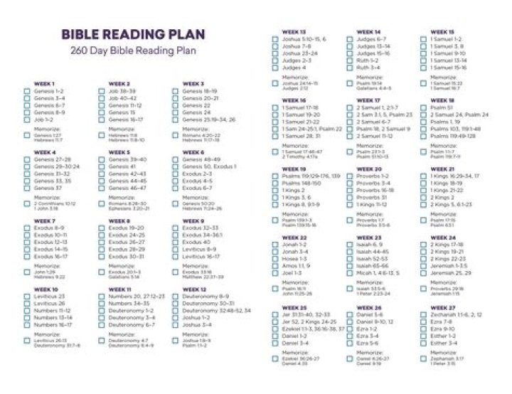 Free 1 Year Bible Study Plan PDF Download