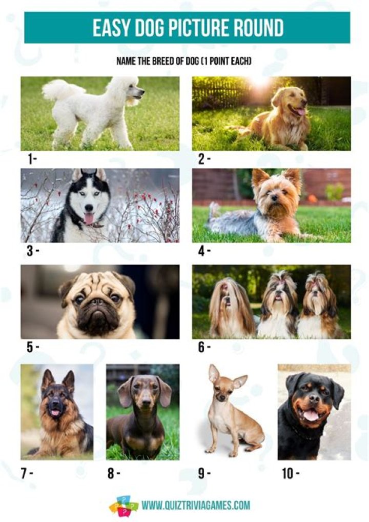 Free Picture Quiz with Answers PDF – Instant Download