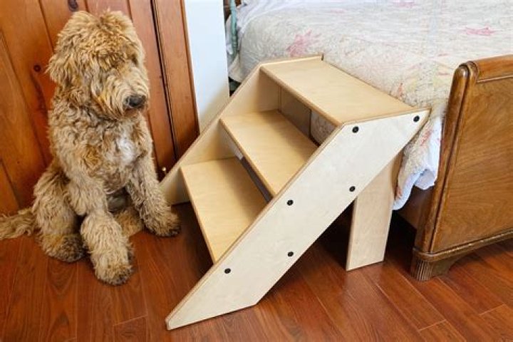 Free Plans for Dog Steps PDF – Instant Download
