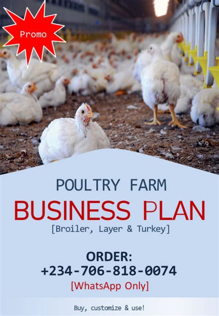 Free Poultry Farming Business Plan PDF for Profit