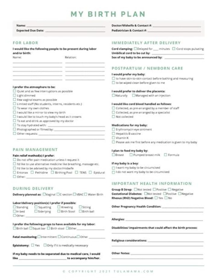Free Printable Birth Plan Template PDF – Easily Download & Customize
