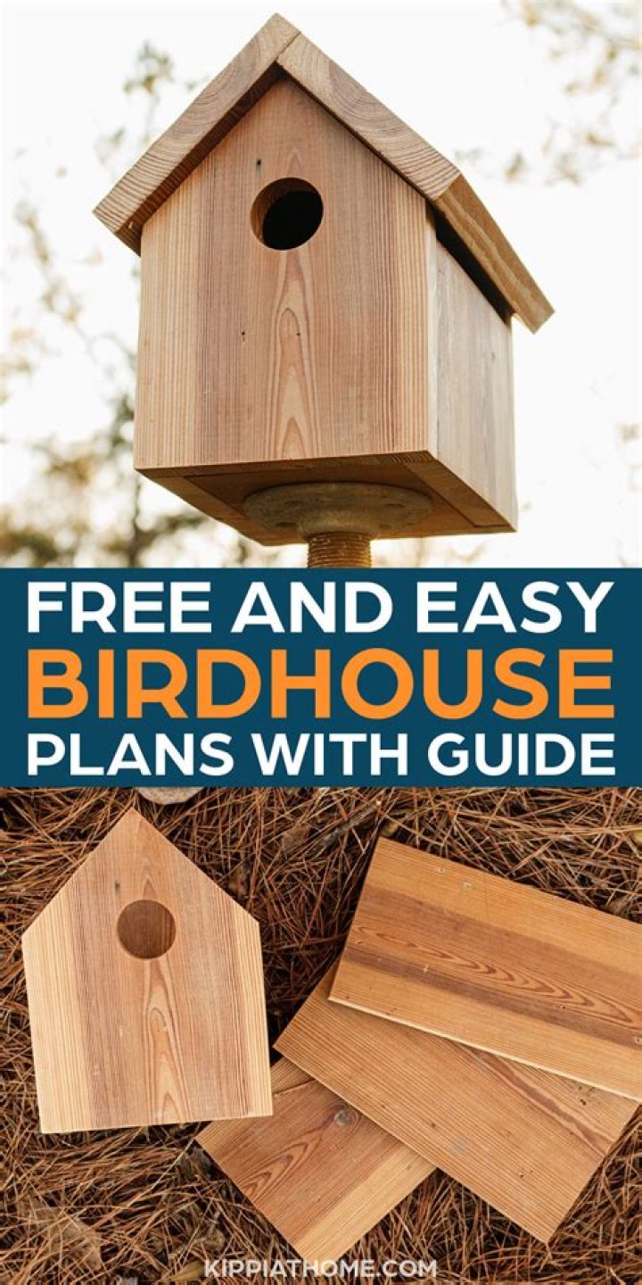 Free Printable Birdhouse Plans PDF – Instant Download