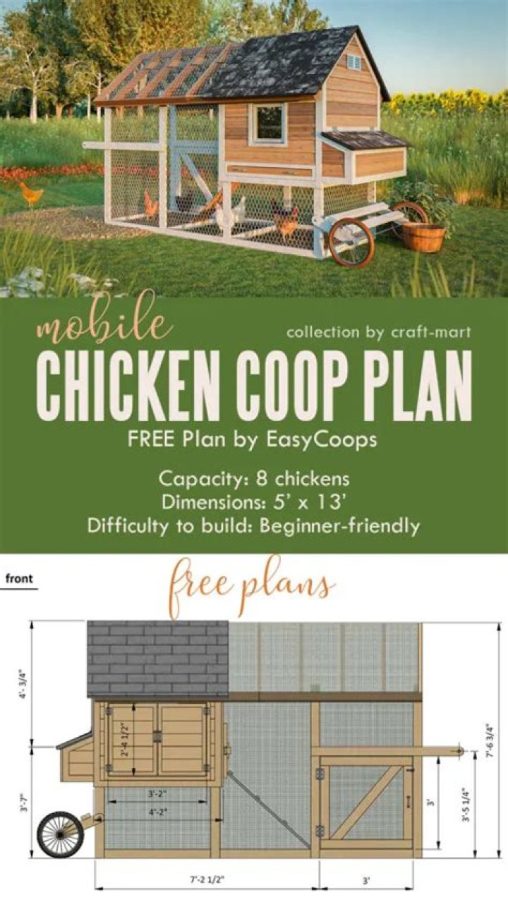 Free Small Chicken Coop Plans PDF: Build Your Own Affordable Chicken Run