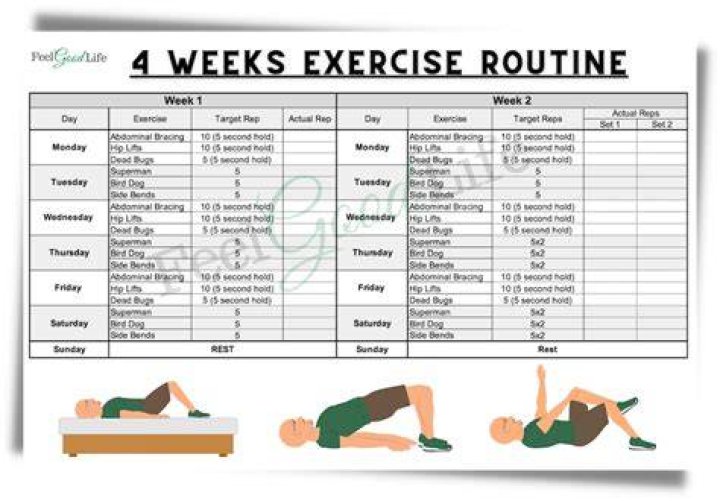 Free 60+ Man Workout Plan PDF – Beginner-Friendly Home Exercises