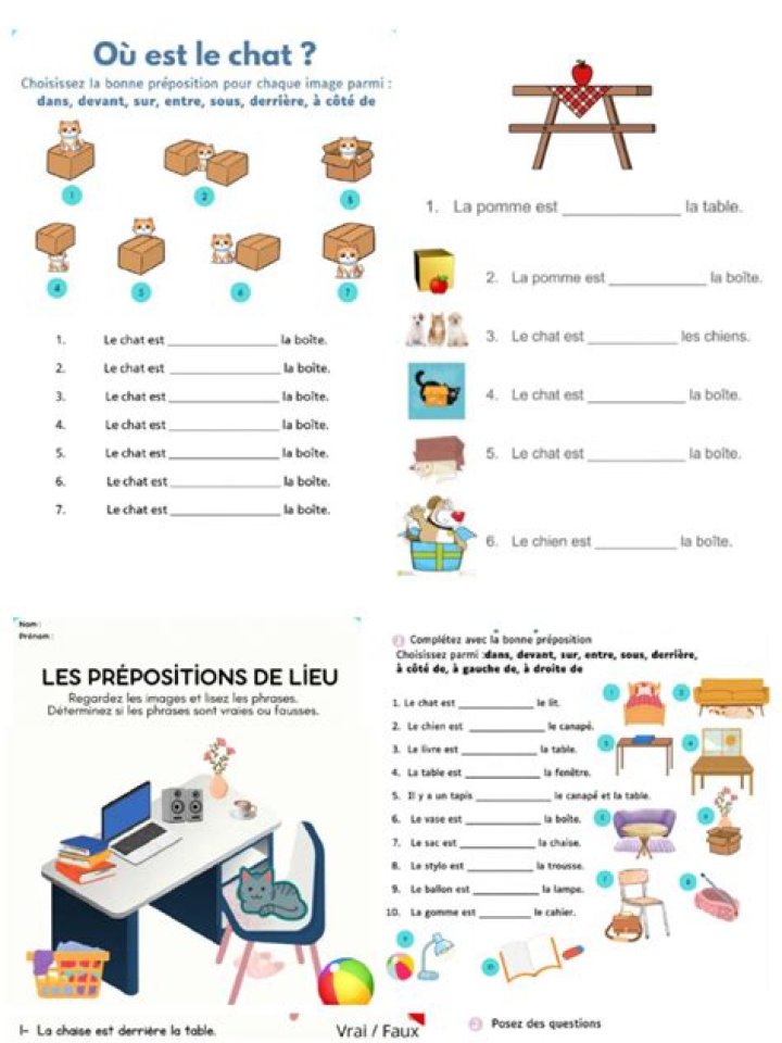 Free French Prepositions Worksheet PDF – Download Instant Grammar Practice