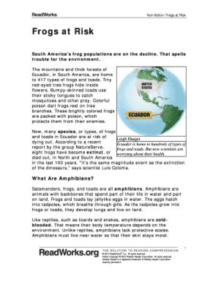 Frogs at Risk: Answer Key PDF – Essential Conservation Insights