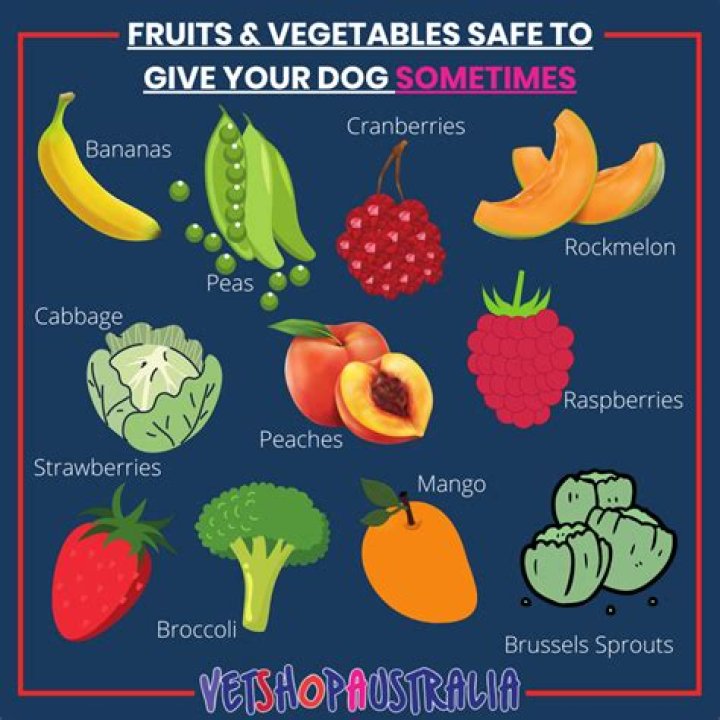 Fruits and Vegetables Dogs Can Eat: Safe List & PDF Guide