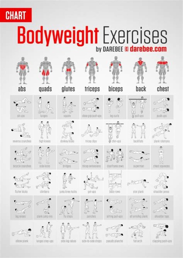 Full Body Bodybuilding Workout Plan PDF – Build Mass & Strength