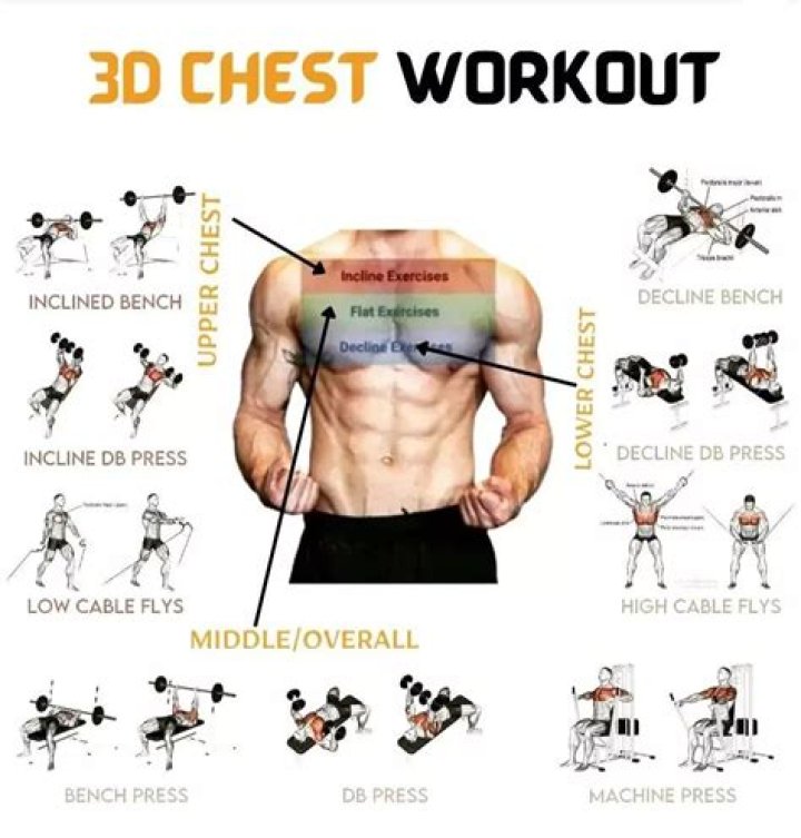 Full Body Chest Workout Plan PDF – Build Strength & Sculpt