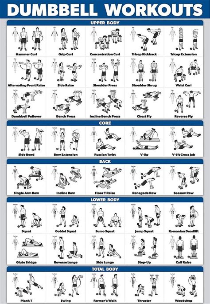 Full Body Dumbbell Workout Plan PDF – Build Strength & Burn Fat