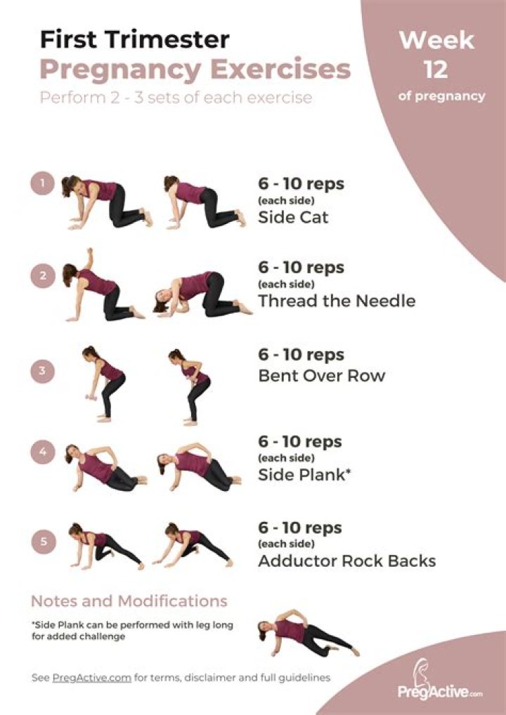 Full Body Pregnancy Workout Plan PDF – Safe & Effective Exercises
