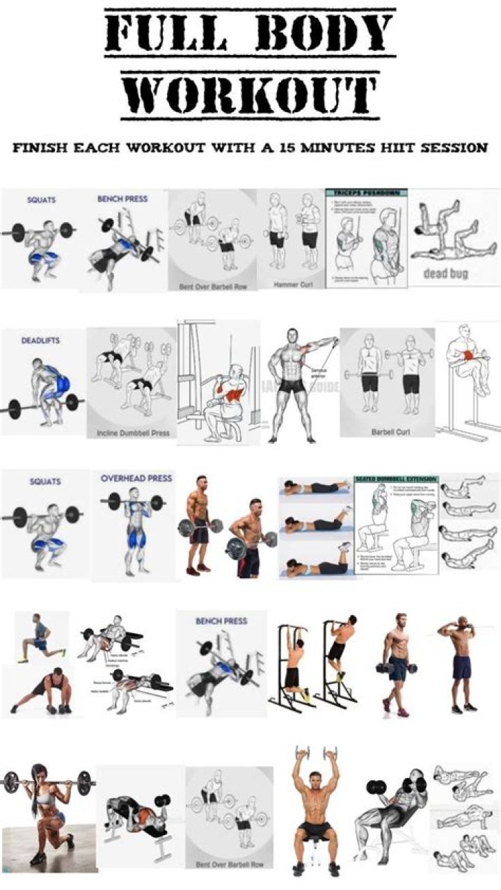 Full Body Workout Plan PDF at the Gym – Effective Home & Gym Training