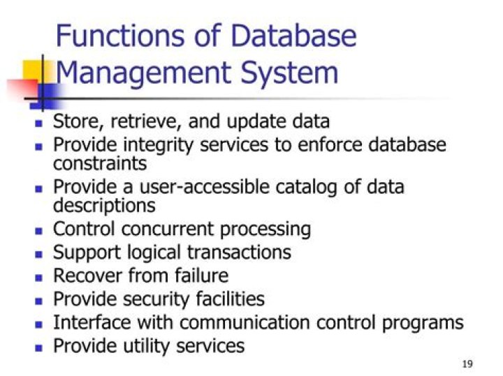 Functions of Database Management Systems Explained in PDF