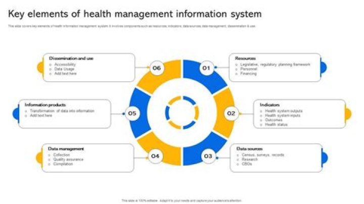 Fundamentals of Health Information Management: Essential PDF Guide