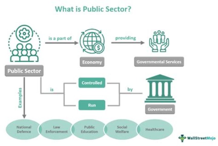 Funds Management for the Public Sector: Master SAP Implementation in PDF