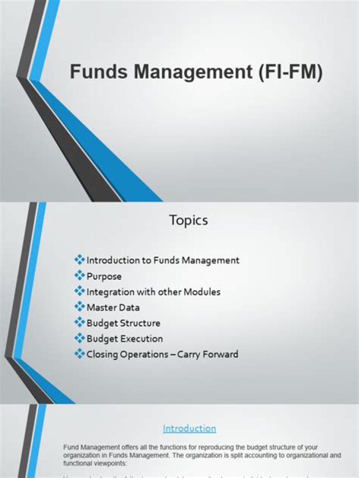 Funds Management in SAP: Expert PDF Guide for Finance Teams